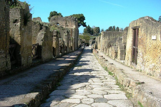 Herculaneum Guided Tour & Amalfi Coast Private Tour with Driver from Naples - Who should consider this tour?