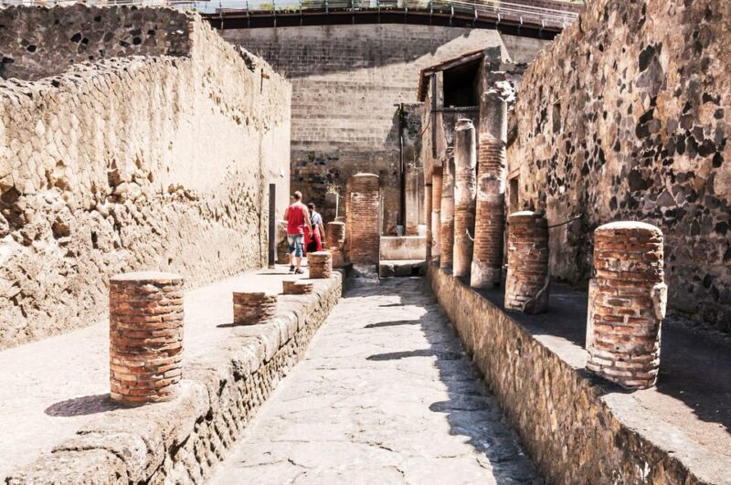 Herculaneum Guided Walking Tour with Entry Ticket - Who Will Love This Tour?