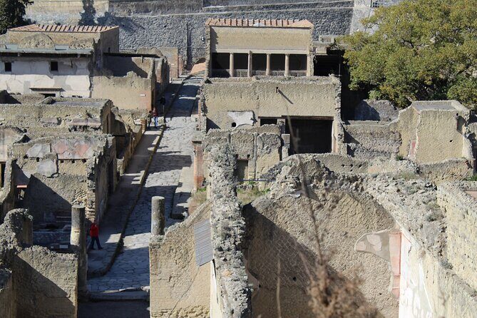 Herculaneum Private Guided Tour Led by a Local Top-rated Guide - All inclusive - FAQs