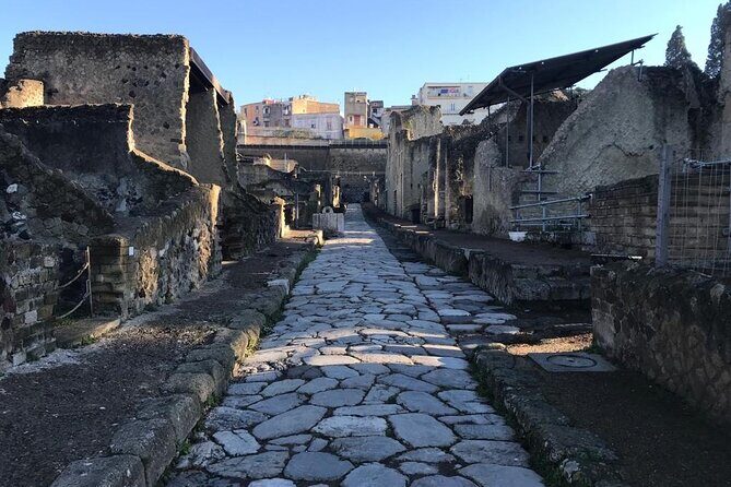 Herculaneum - Private Tour (skip-the-line admission included) - Why Choose the Herculaneum Private Tour?