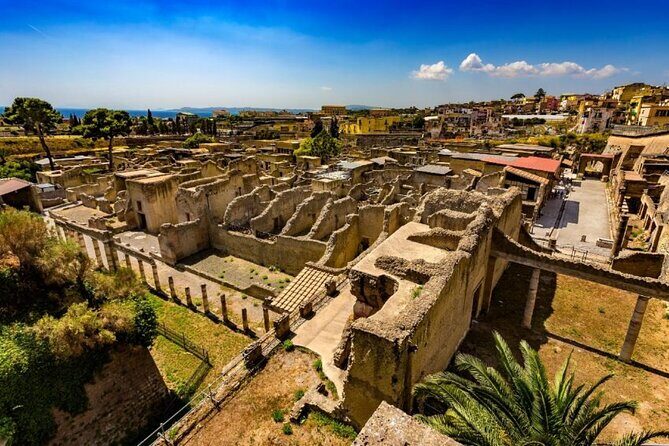 Herculaneum ruins and Naples Center Full Day Private Tour From Rome - Herculaneum ruins and Naples Center Full Day Private Tour From Rome: An Honest Look