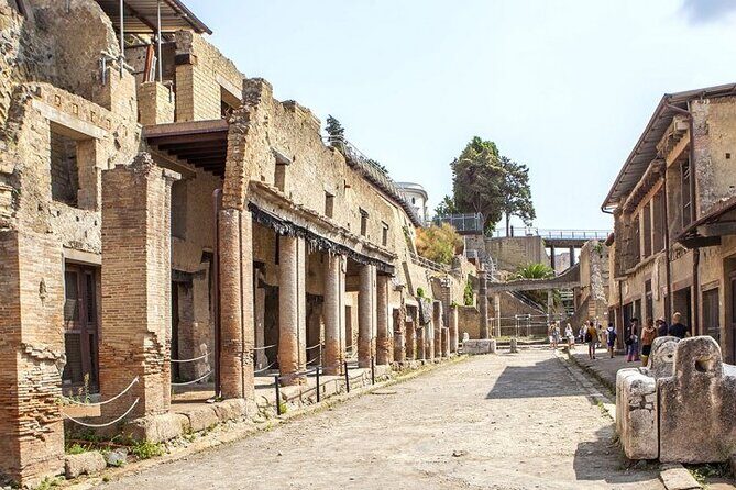 Herculaneum ruins and Naples Center Full Day Private Tour From Rome - Key Points