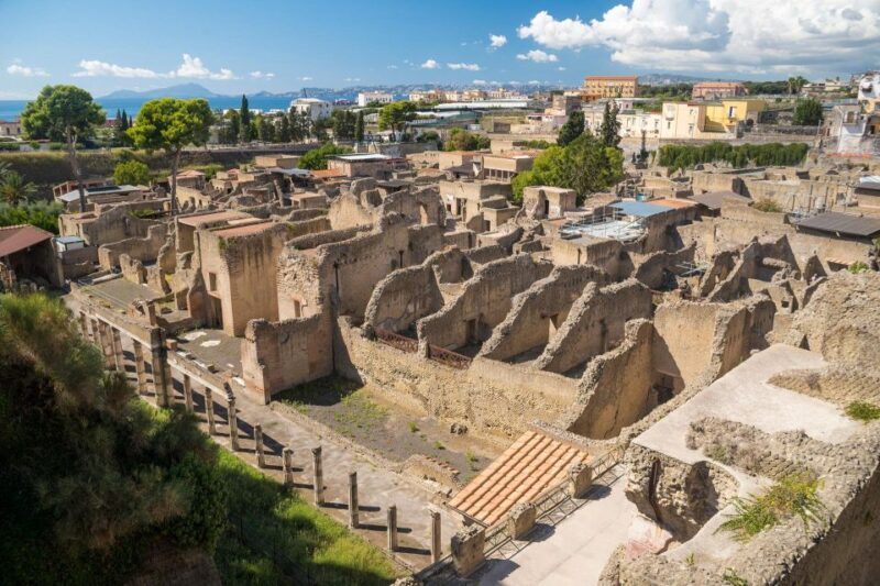 Herculaneum: Skip-the-Line Entry Ticket with Audio Guide - Why Choose This Herculaneum Tour?