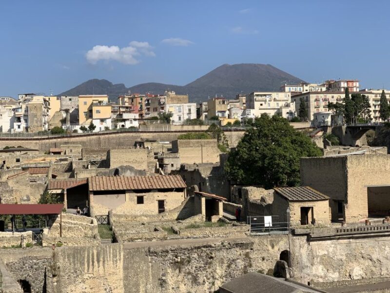Herculaneum: Tickets & Tour with a Local Archaeologist - Final Thoughts