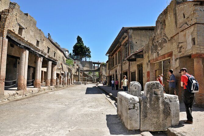 Herculaneum VIP Tour with Lunch from Naples - Final Thoughts: Is It Worth It?