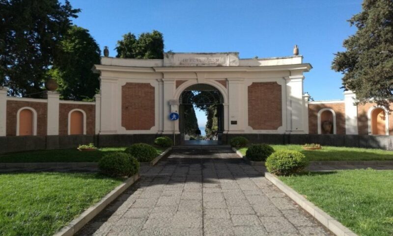 Herculaneum with an Archaelogical Guide & Ticket - Key Points