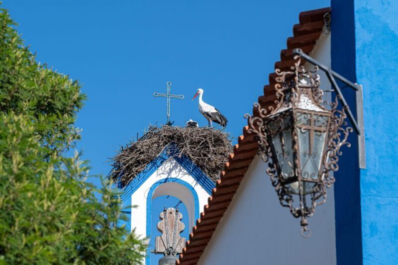 Herdade da Comporta Reserve Winetasting - The Setting and Views