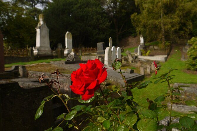 Heritage City and Larnach Castle Van tour with Historian Guide - What’s Included and What to Expect