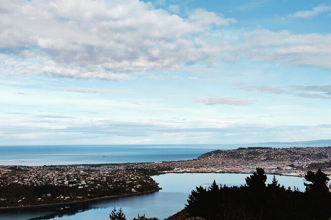 Heritage City and Larnach Castle Van tour with Historian Guide - Who Should Consider This Tour?