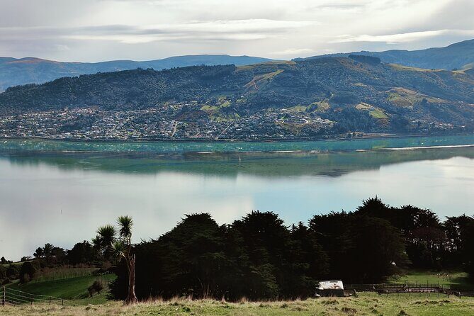 Heritage City and Larnach Castle Van tour with Historian Guide - Final Thoughts: Is This Tour Worth It?