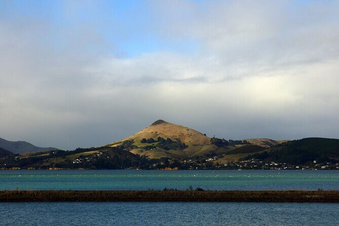 Heritage City and Larnach Castle Van tour with Historian Guide - FAQs