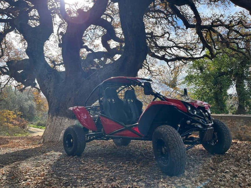 Hersonissos: Buggy Safari Adventure Tour - Logistics and Practicalities