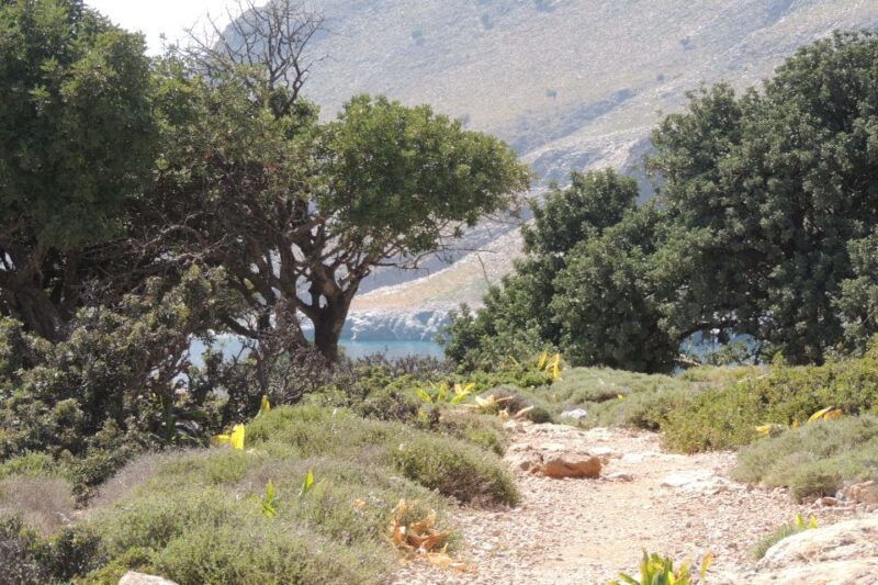 Hersonissos: South Eastern Crete & Sarakinas Gorge Day Tour - What Travelers Say
