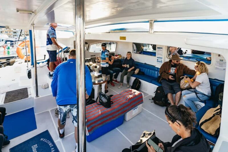 Hervey Bay: Exclusive Whale Watch Encounter - Who Should Consider This Tour?