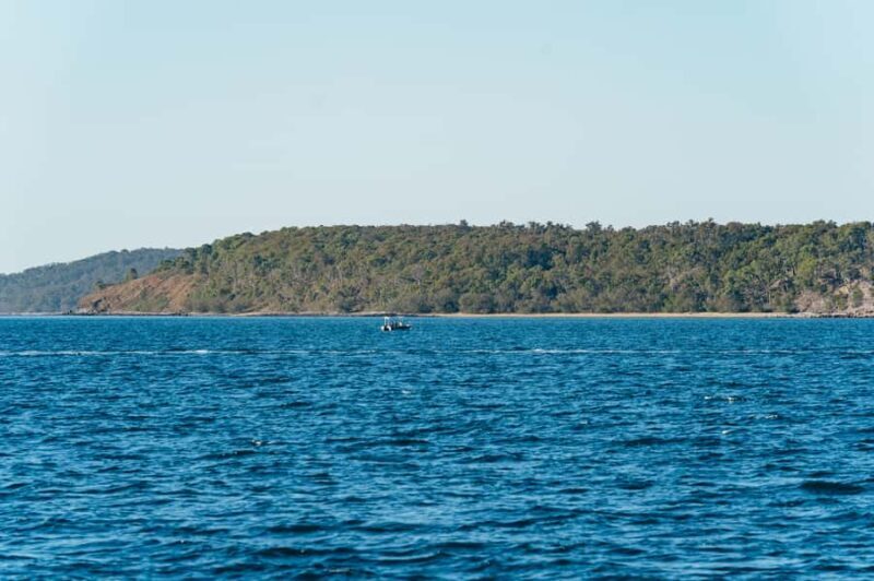 Hervey Bay: Exclusive Whale Watch Encounter - FAQs