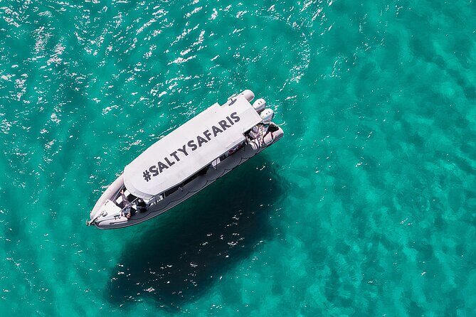 Hervey Bay: Half Day Whale watching & Island Stop Tour - Setting the Scene: What to Expect