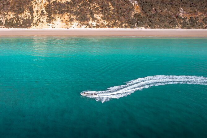 Hervey Bay: Half Day Whale watching & Island Stop Tour - Beach Relaxation & Extra Activities