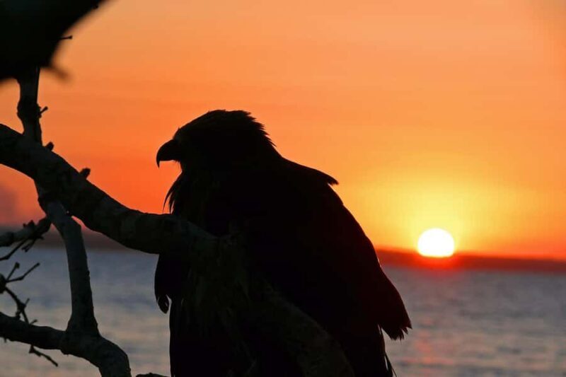 Hervey Bay: Relaxing Sunset Cruise with Champagne and Prawns - The Experience in Detail