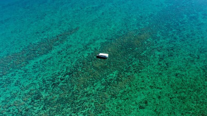 Hervey Bay: Turtle Discovery Eco Tour - The Glass-Bottom Boat Experience