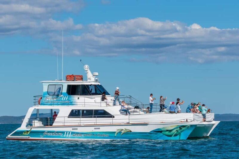Hervey Bay Whale Odyssey Cruise - Key Points