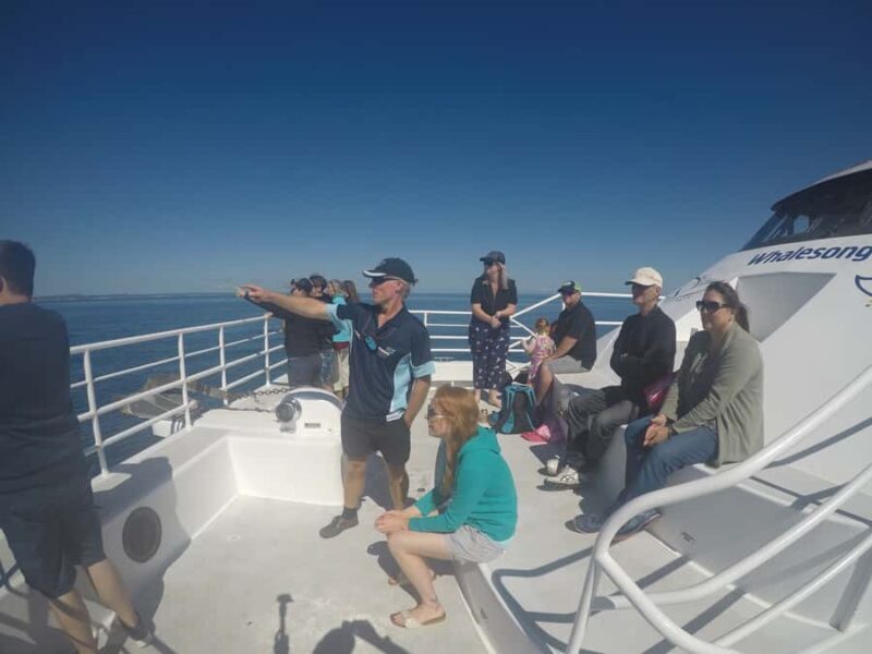 Hervey Bay: Whalesong's Half-Day Whale Watching Cruise& Meal - FAQ