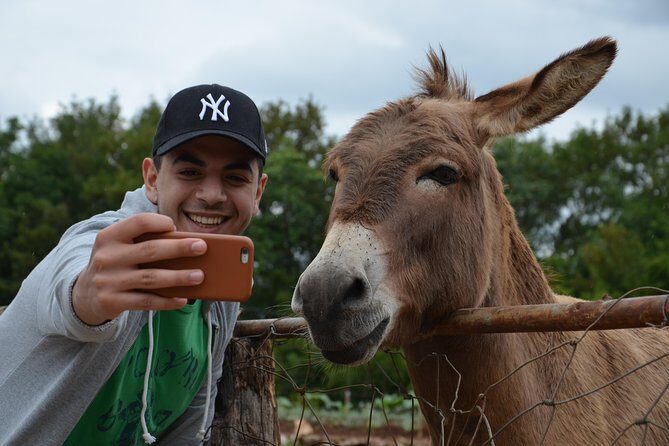 Herzegovina Full Experience in a Day Tour from Mostar - Key Points