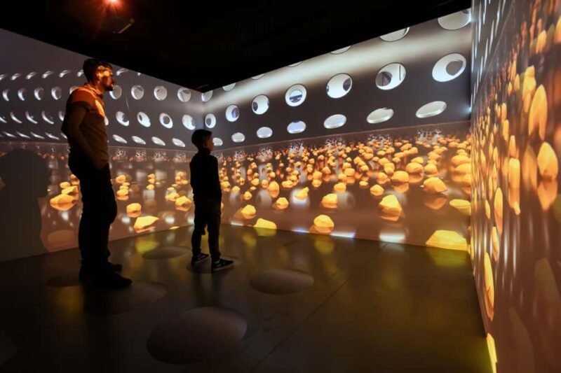 Heule: Chocolatier Vandenbulcke Chocolate Trail Tour - An Inside Look at the Chocolate Trail Experience