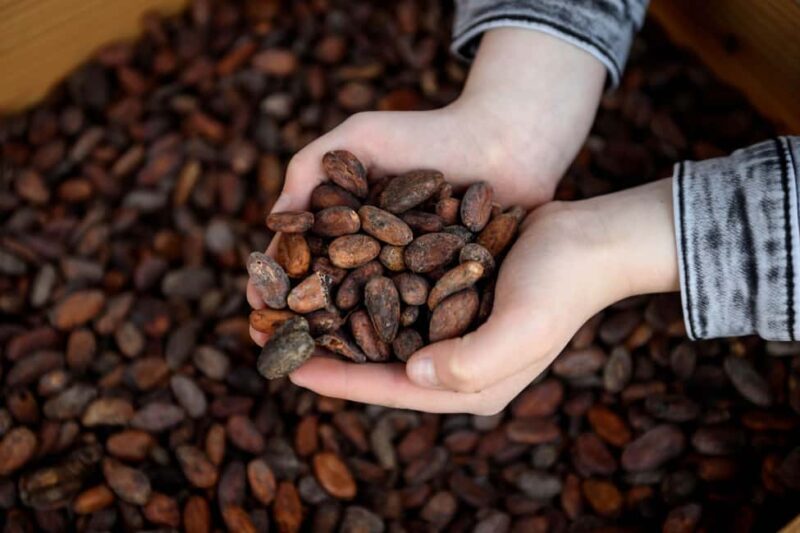 Heule: Chocolatier Vandenbulcke Chocolate Trail Tour - Who Should Consider This Tour?