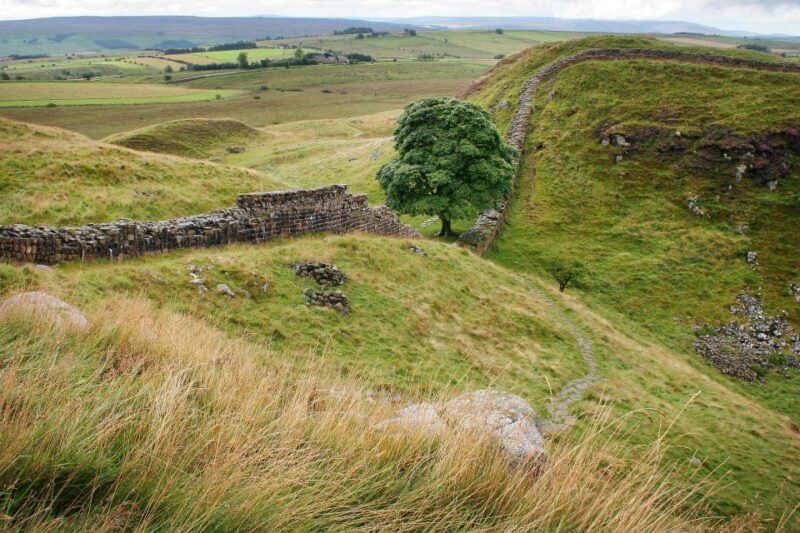 Hexham: Hadrian's Wall and The Romans Full Day Guided Tour - Key Points