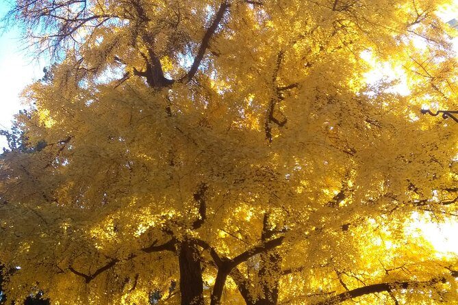 Hidden and fascinating Verona - 3 hour private walking tour - Final Thoughts