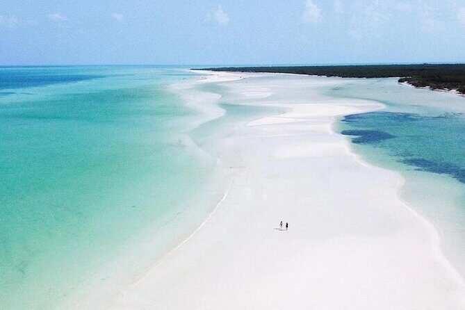 Hidden Beauty at Holbox Island Tour! From Cancun & Riviera Maya - Key Points