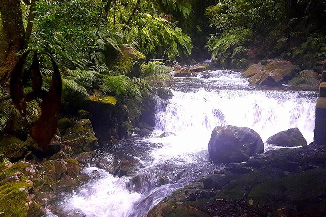 Hidden Corners: Levada Walk from Funchal - Who Would Love This Tour?