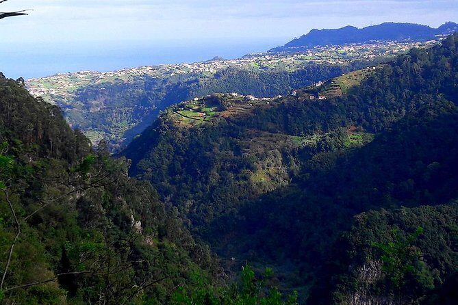 Hidden Corners: Levada Walk from Funchal - Why This Tour Stands Out