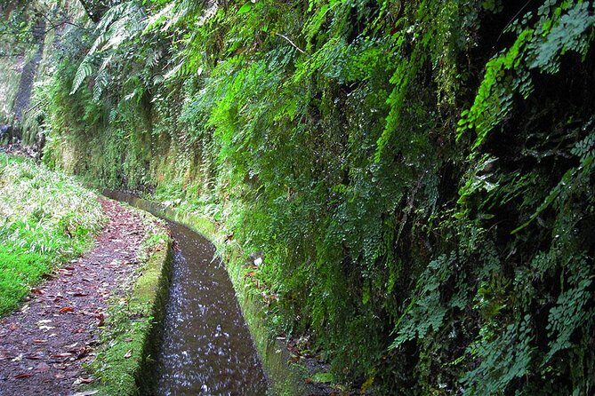 Hidden Corners: Levada Walk from Funchal - Final Thoughts: Who Is This Tour Perfect For?