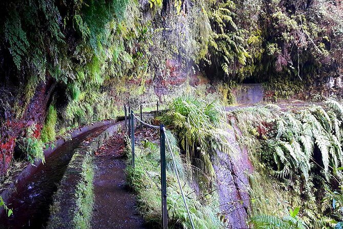 Hidden Corners: Levada Walk from Funchal - Frequently Asked Questions