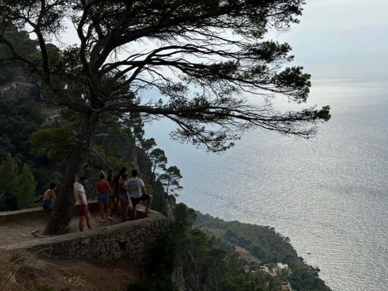 Hidden Coves, Hiking & Snorkeling Adventure in Mallorca - Final Thoughts