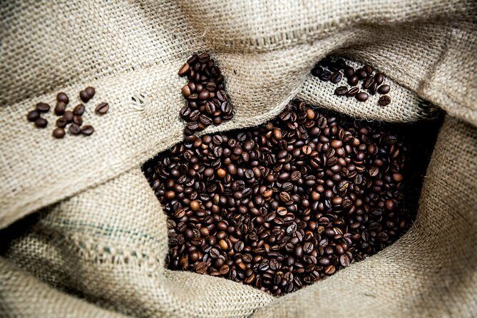 Hidden Flavors of the Hillside: Mouraria & Graça - The Value and Practical Details