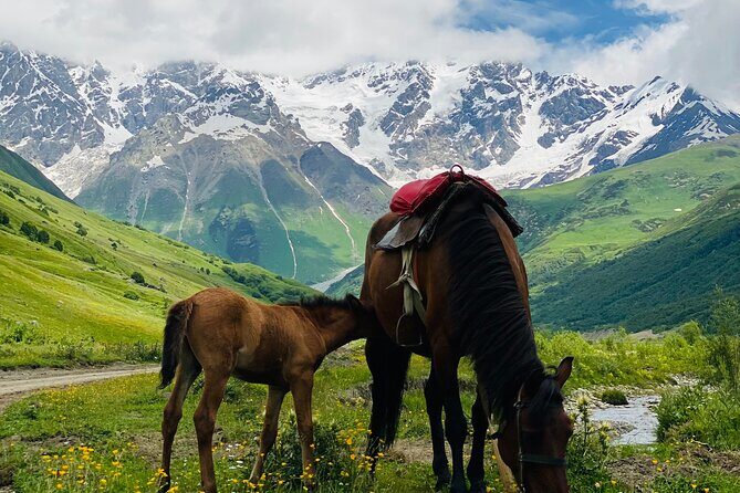 Hidden Gem With Salou Near Tbilisi - Final Thoughts