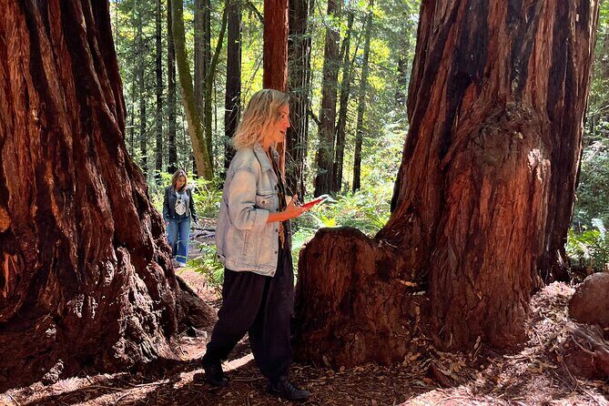 Hidden Gems Adventure in West Sonoma County - Final Thoughts: Is It Worth It?