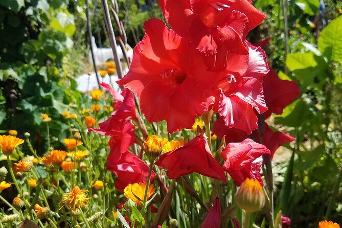 Hidden Gems Adventure in West Sonoma County - FAQ