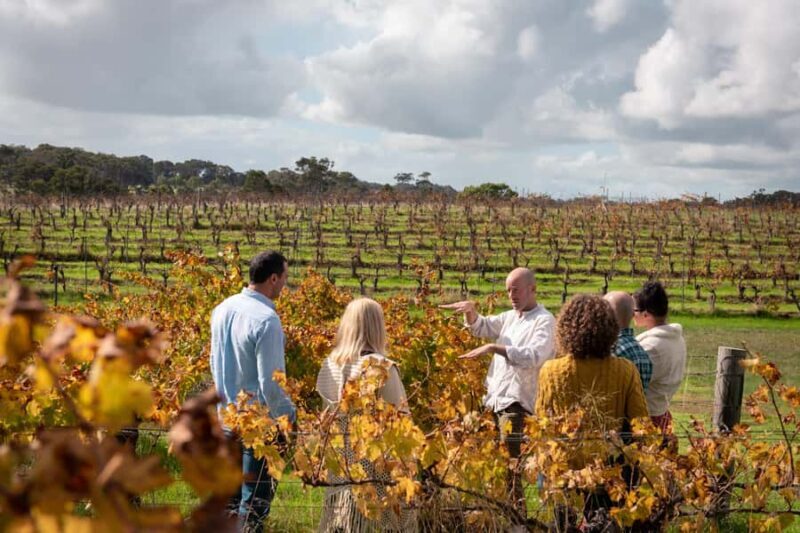 Hidden Gems Margaret River: Authentic Wine & Farm Experience - Frequently Asked Questions