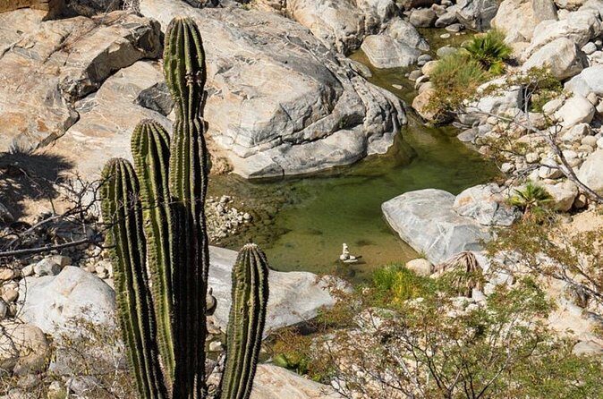 Hidden Gems of Sierra Laguna: El Triunfo and Natural Springs. - The Sum Up