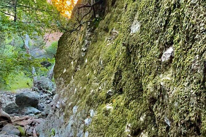 Hidden Grotto Waterfall eMTB & Hiking Adventure Malibu (Beginner) - What to Expect from Your Malibu Adventure