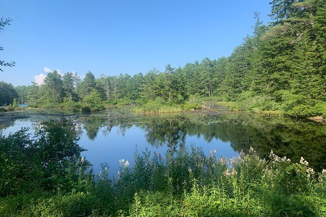 Hidden Harbor E Bike Tour of Boothbay Harbor - The Value for the Price