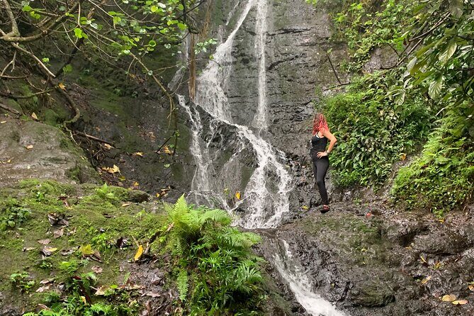 Hidden Hawaii Tours - Who Should Consider This Tour?