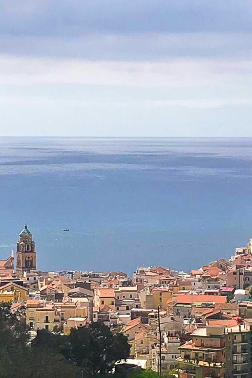 Hidden Lemon Tour & Tasting in the Amalfi Organic Lemon Farm - Key Points