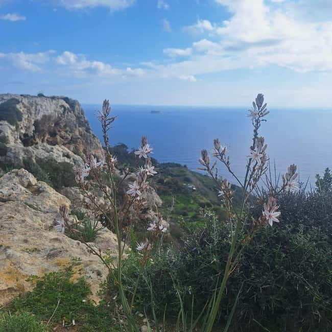 Hidden Malta: From Coastal Wonders to the Silent City - Final Thoughts