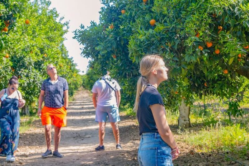 Hidden Paradise Combo Green Lake With Lunch & Boat - Key Points