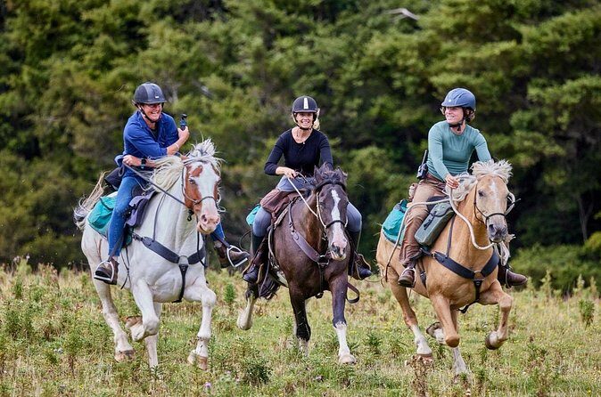 High Country Enchantment Full-Day Horse Trek - Lunch and Rest Stops