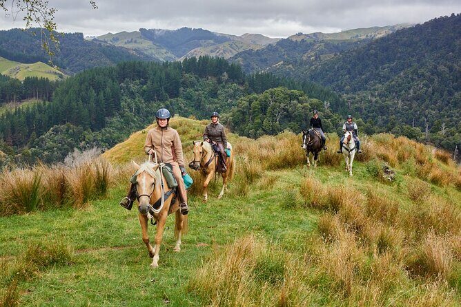 High Country Enchantment Full-Day Horse Trek - Who Should Consider This Tour?